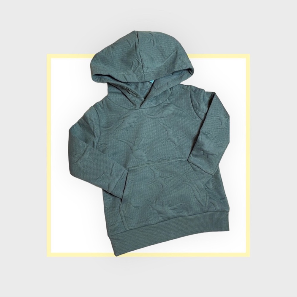 Dino Puff Hoodie in Sea Spray Boys sizing 4T